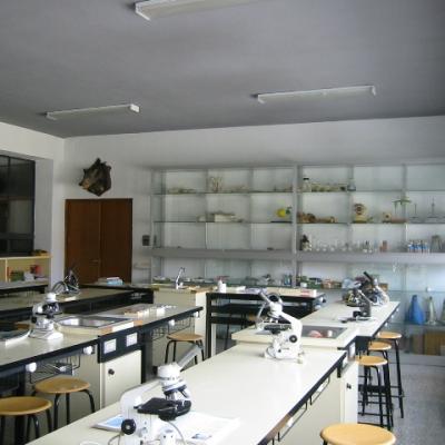 Laboratorio 8